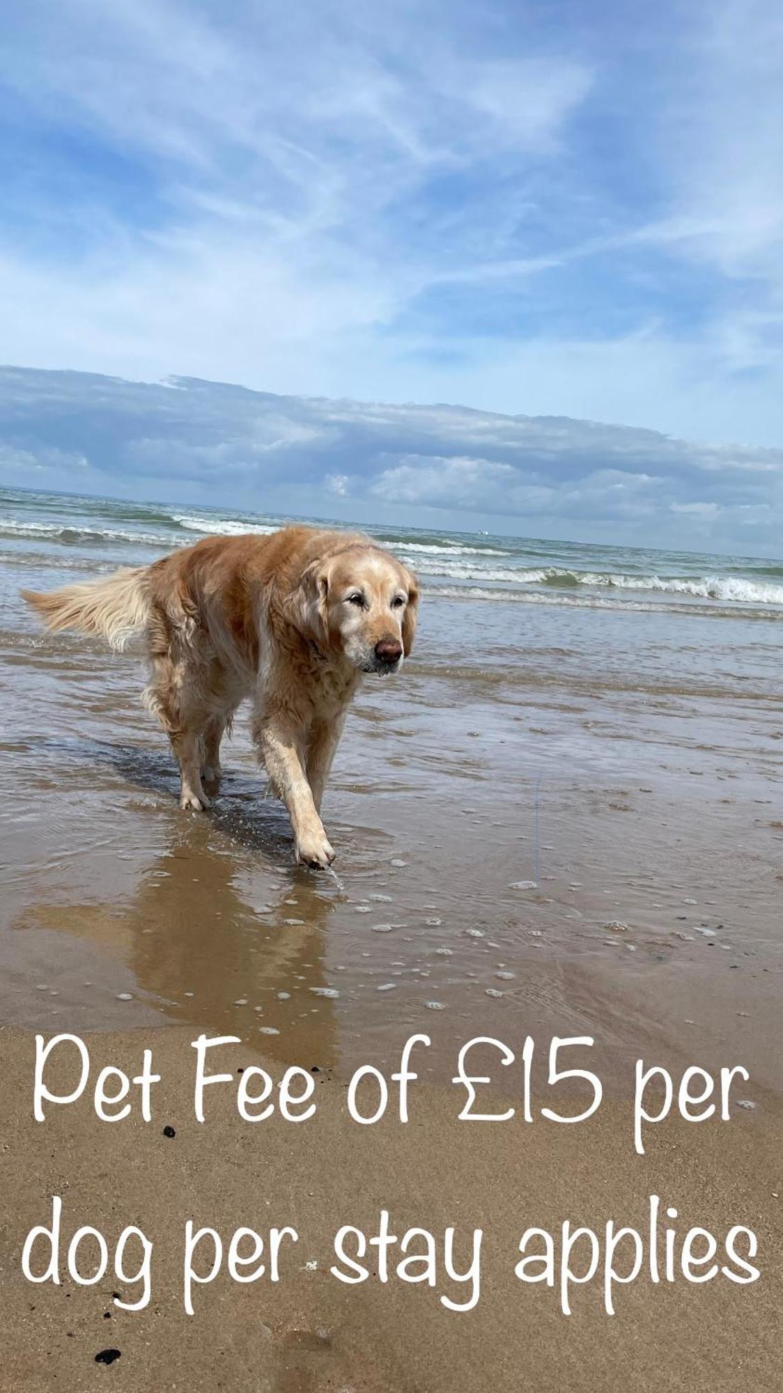 Fab Stay Uk - Coastal And Country Retreat With Free Secure Off Road Parking Minutes From Both Dover And Deal Exterior foto